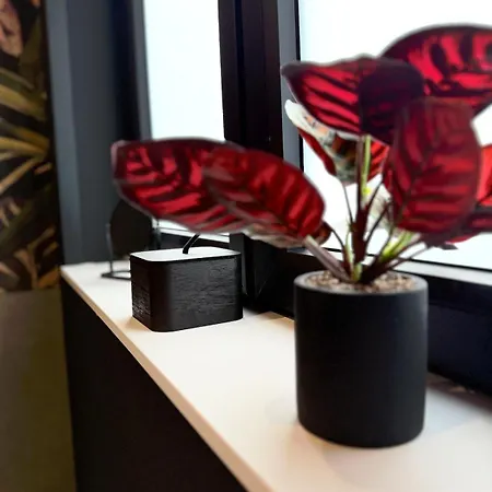 דירה Stilvolles Studio-apartment Im Herzen Von *